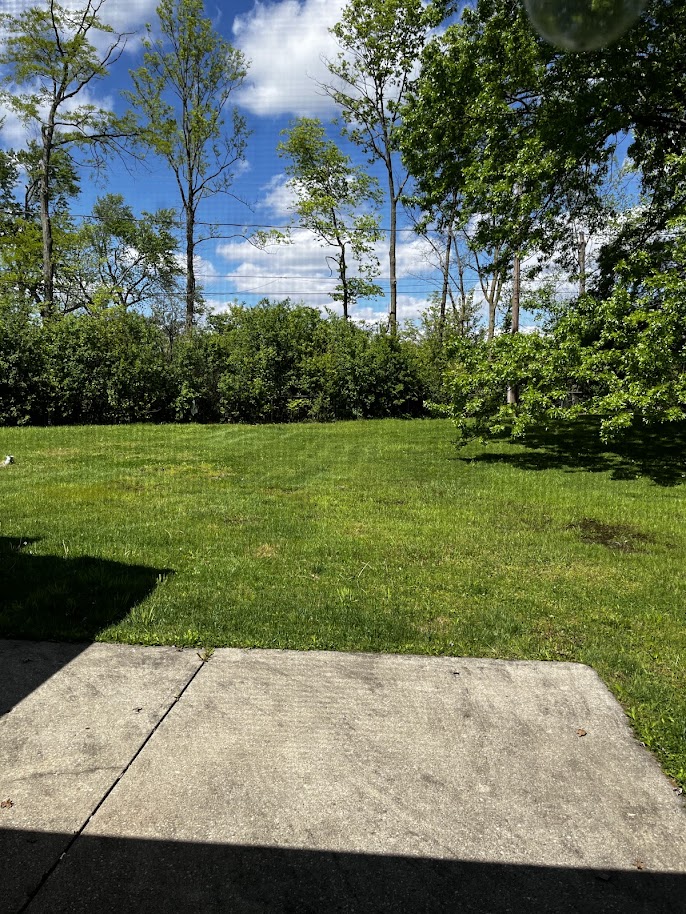 3155 Silver Rock Avenue - 3157